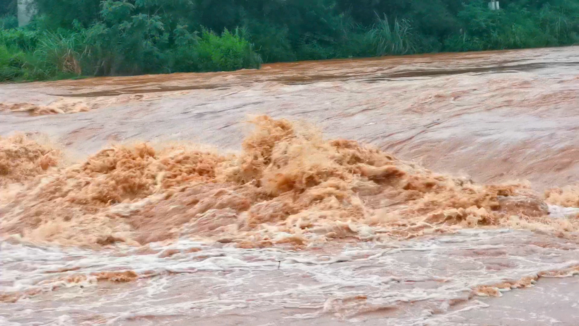 安徽黄山：暴雨引发洪涝灾害 被困群众及时转移_白果树村