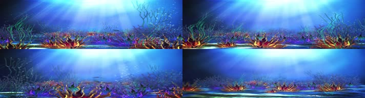 海底光芒珊瑚14S