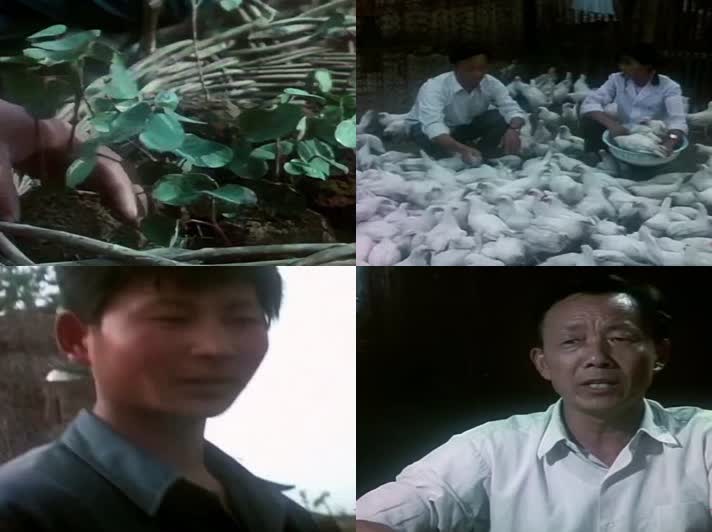 80年代中国的农村生活影像31