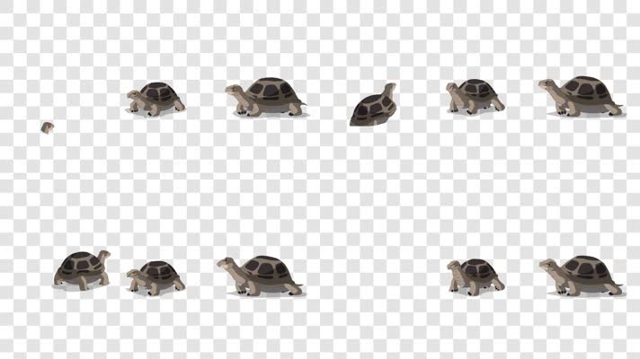 乌龟3组形态-alpha通道