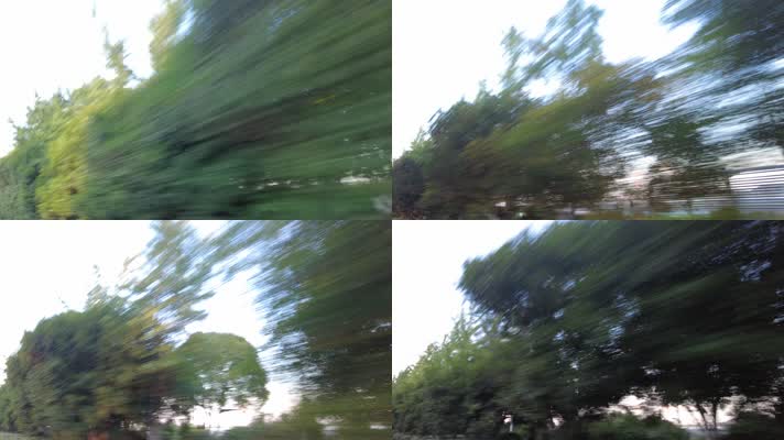 驾驶自驾旅行车窗外飞速后退的树林