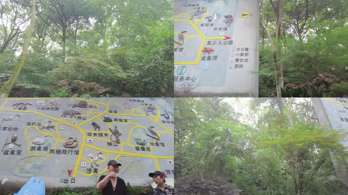 杭州动物园大门口树林和介绍牌