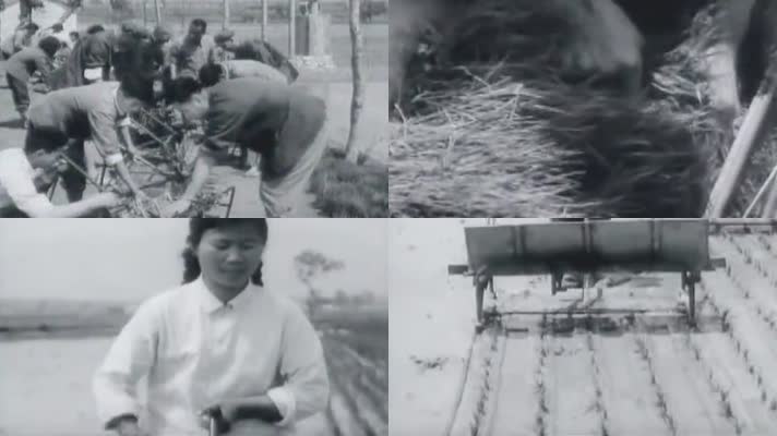 70年代浙江农业机械化生产影像5