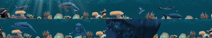 海底鲨鱼 鲸鱼鱼群 海底阳光 珊瑚贝壳 5d