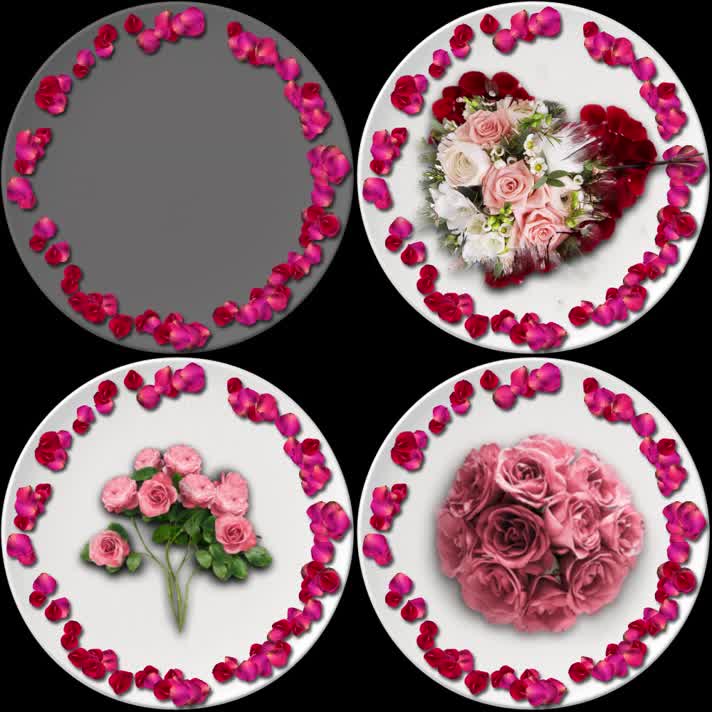 鲜花玫瑰 花盘桌面餐厅投影  盘子投影 