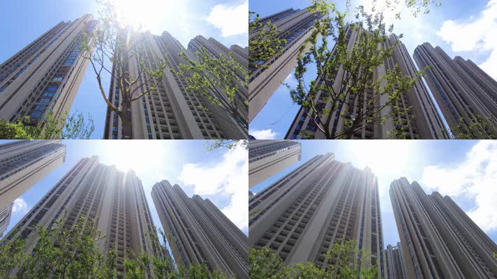 城市的树枝阳光高楼大厦大气空镜头