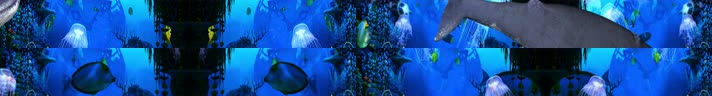 粒子鲸鱼 水母鱼群 珊瑚礁石 海底世界鲸鱼 