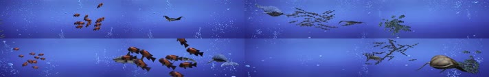 海底生物 大鲸鱼 海豚魔鬼鱼 海底世界鲸鱼 