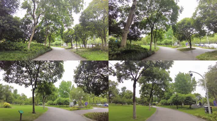公园树林植物小道运镜空镜头