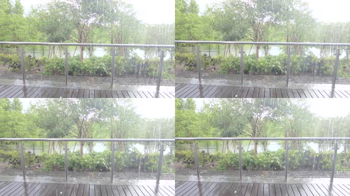 夏天树林下暴雨雨水雨滴空镜头