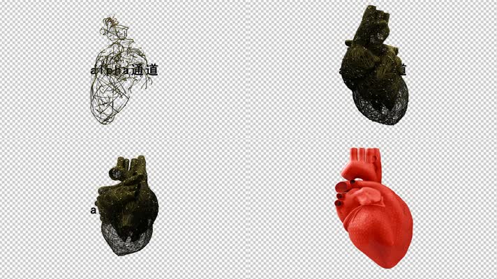 大脑心脏3D动画带通道