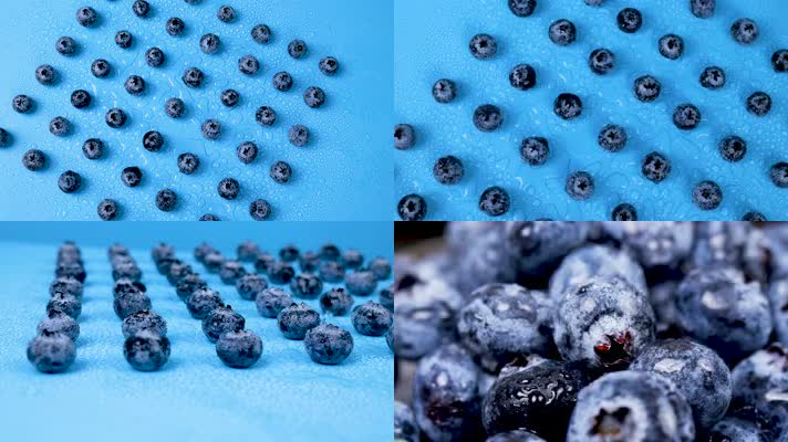 蓝莓 4k蓝莓