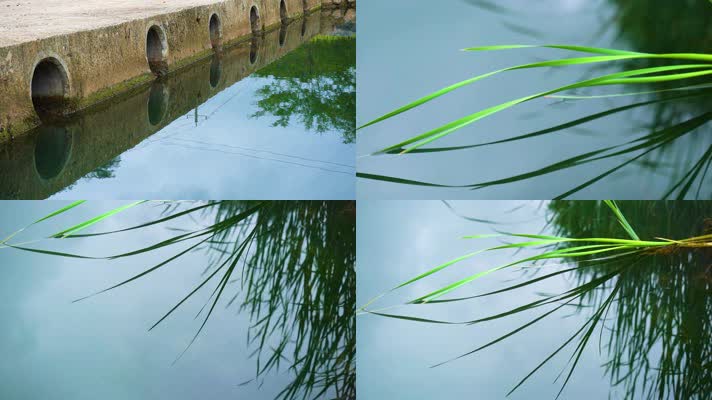水面倒影芦苇唯美自然风光
