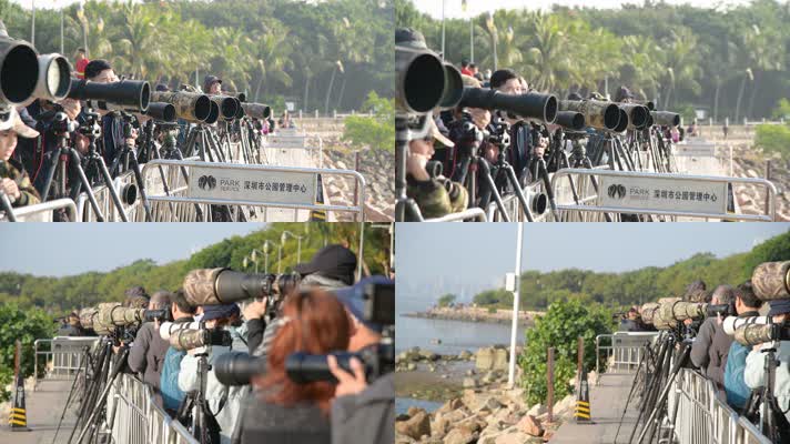 4K清晨深圳湾拍摄候鸟的中老年人