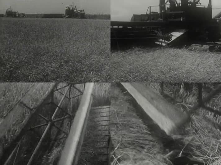 50年代农村机械化收割影像