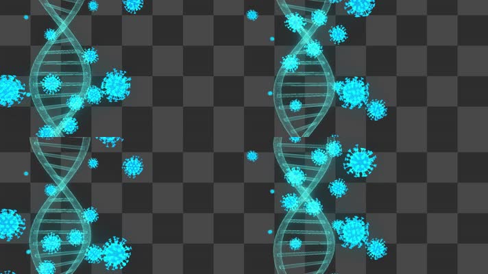 新冠病毒和DNA