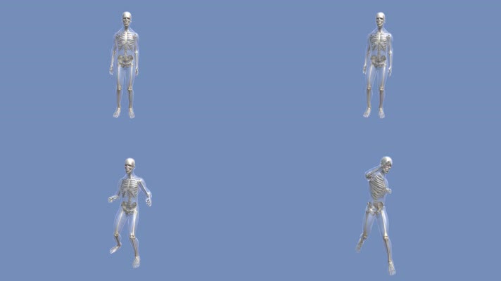 【4K】人体骨架