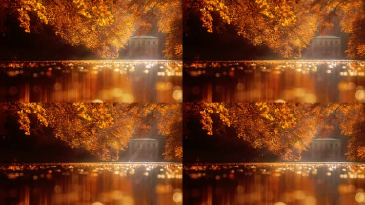 秋天河面上金色的树叶
