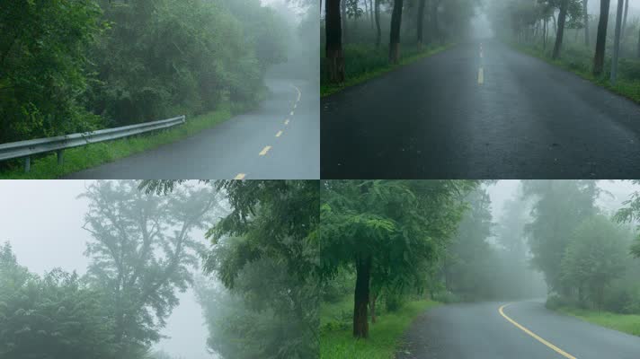 雨雾山林间公路