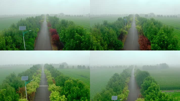 杨官村_V1-0053晨雾中的乡村公路