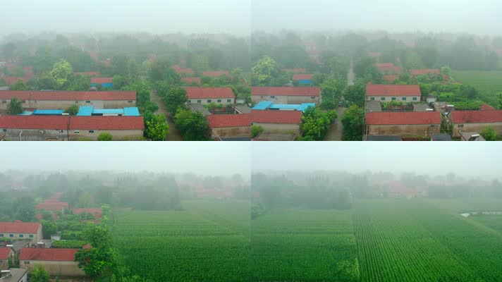 杨官村_V1-0057晨雾中的绿色乡村