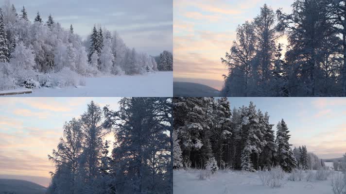 冬季大雪森林傍晚夕阳唯美风景