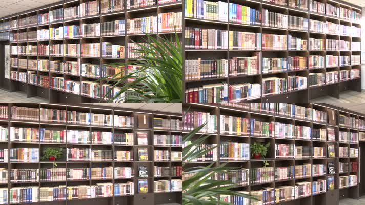 环境优雅图书馆整面墙都是书架里面摆满书籍