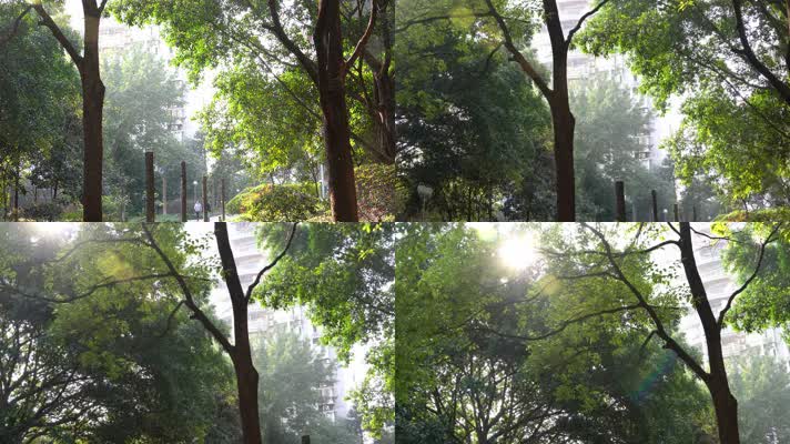 4K社区生活唯美早晨阳光穿过森林