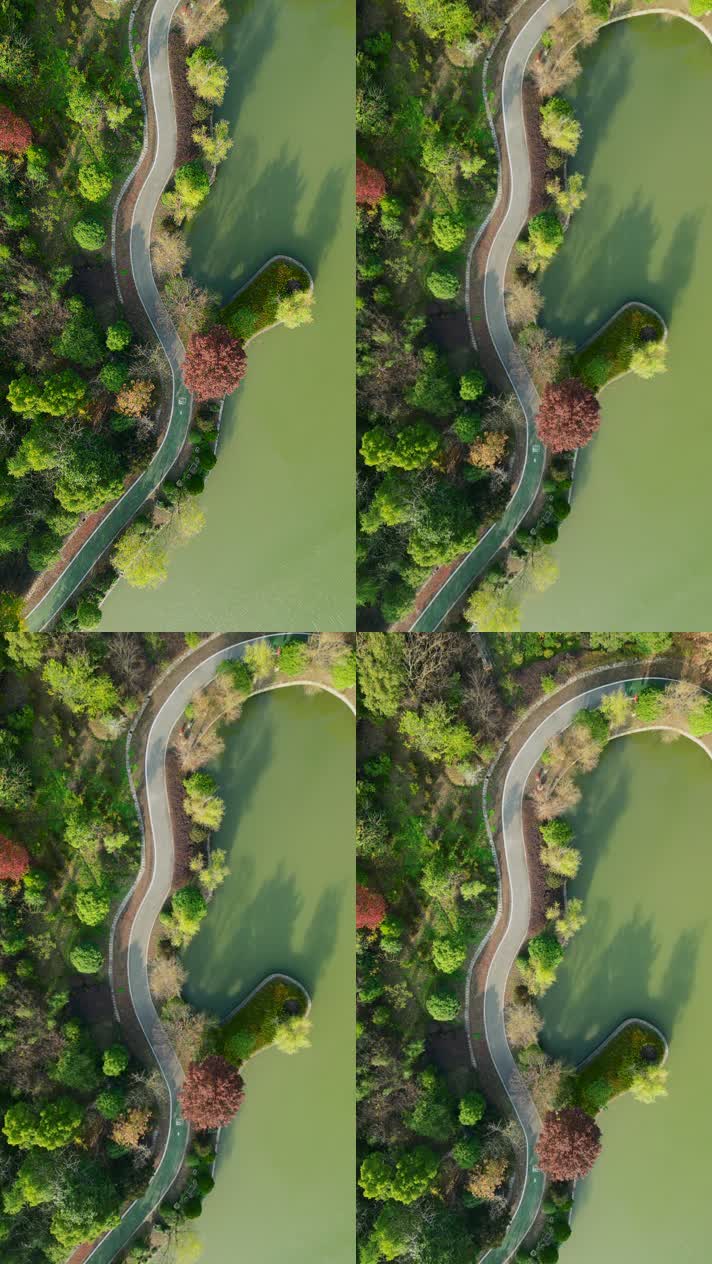 上海金山区蝶镜湖公园航拍竖屏4K