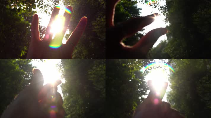 【合集】阳光穿过手指缝，逆光唯美视频4K