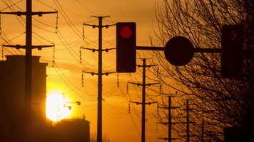 日落城市交通路口信号灯红绿灯电线杆枯树枝