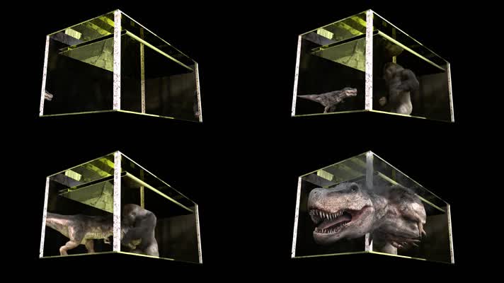 原创裸眼3D动画L屏猩猩大战恐龙（可定制修