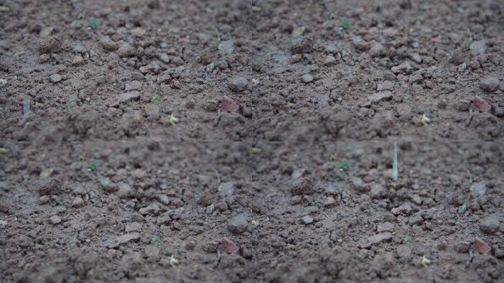 慢镜头-雨水滴落在泥土上浸润土壤实拍