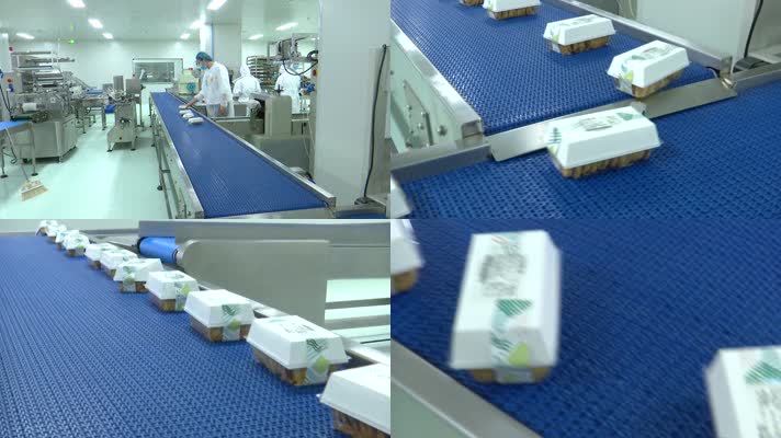 食品厂饼干包装盒运输线生产线