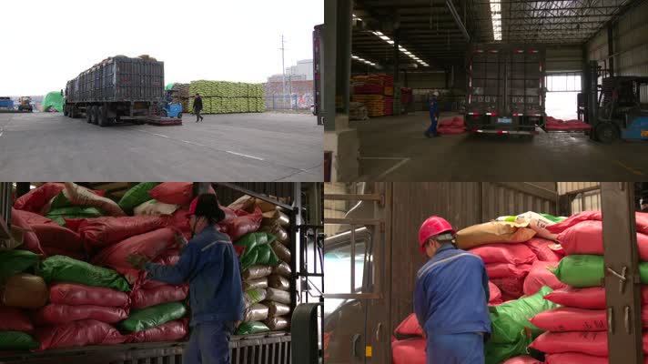 大货车货场卸货装卸工叉车各种养殖袋装饲料