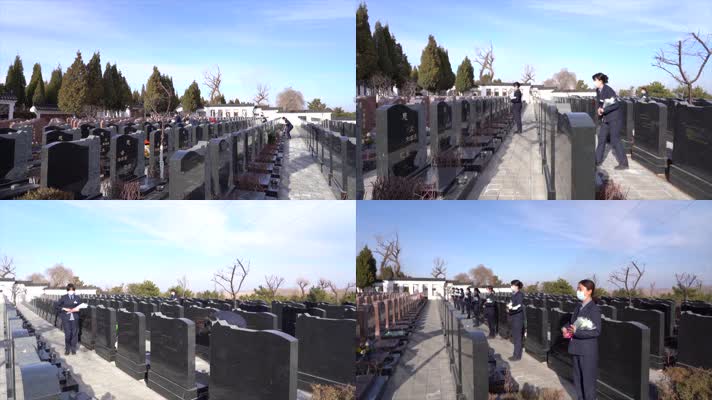 清明节公墓管理处员工向每一个墓碑鞠躬献花