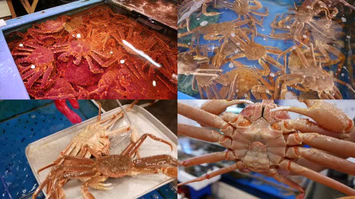 帝王蟹 螃蟹 海鲜市场