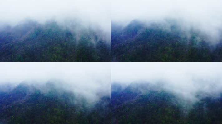 神农架_V1-0056雾气缭绕的原始森林