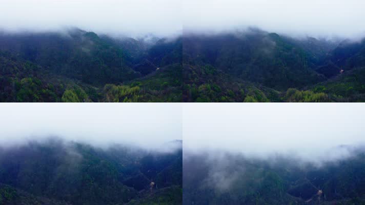 神农架_V1-0050雾气缭绕的原始森林