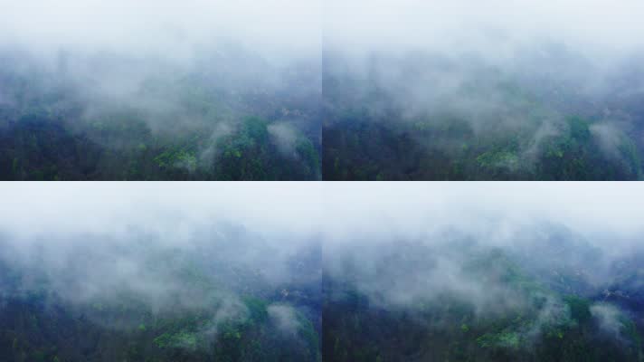 神农架_V1-0055雾气缭绕的原始森林