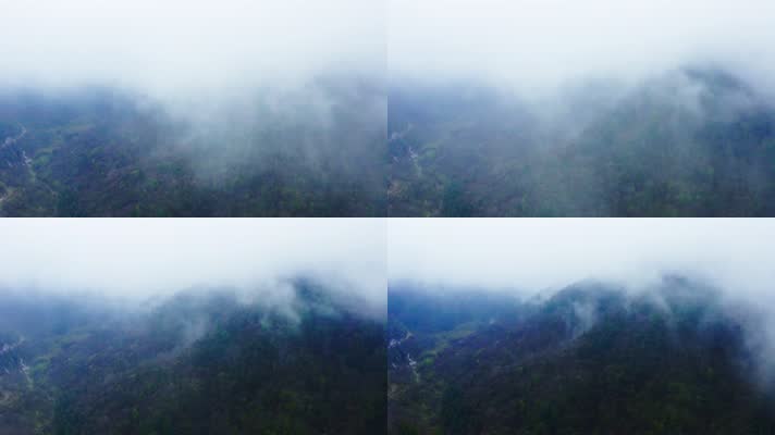 神农架_V1-0057雾气缭绕的原始森林