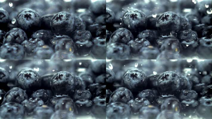 蓝莓清洗实拍