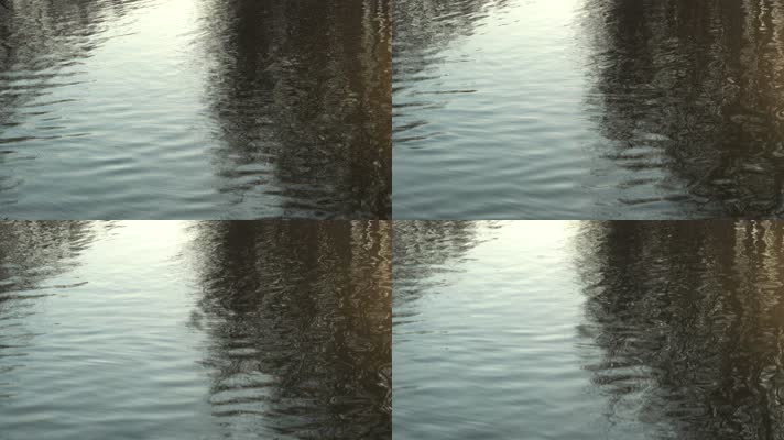 4K水面倒影-森林水面波纹空镜