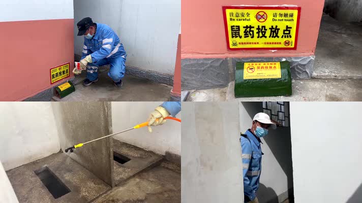 环卫工清洁工给农村公厕投鼠药消毒
