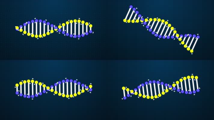 DNA双螺旋MG动画