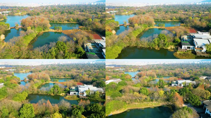 杭州西湖区西溪湿地自然风景400