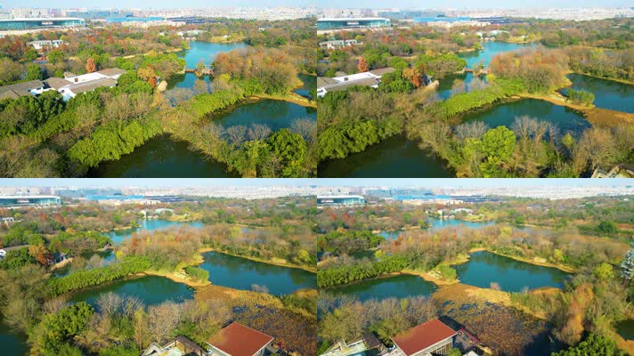 杭州西湖区西溪湿地自然风景90