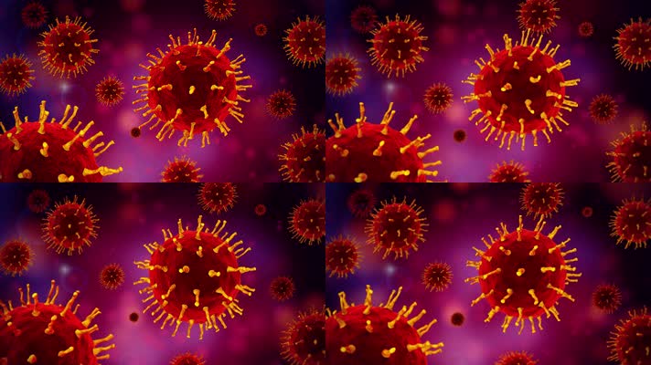 初代新冠病毒分子结构研究