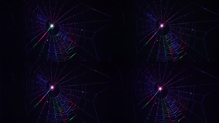 夜光下的七彩蜘蛛网