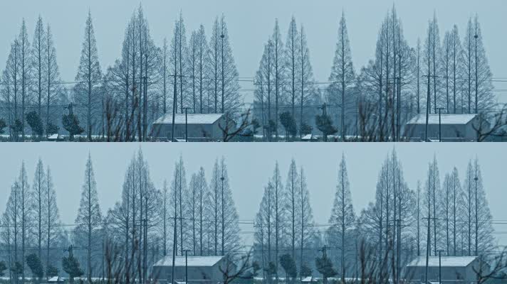 冬天农村下雪慢镜头4K实拍空镜